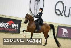 22BUCK_04344 proof