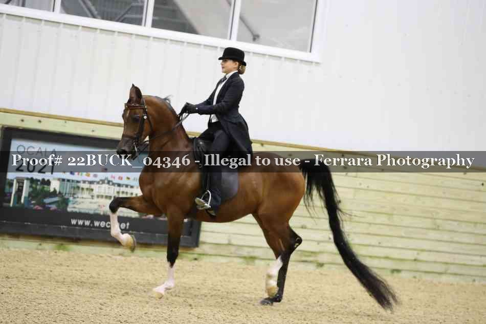 Proof 22BUCK_04346