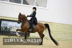 22BUCK_04346 proof