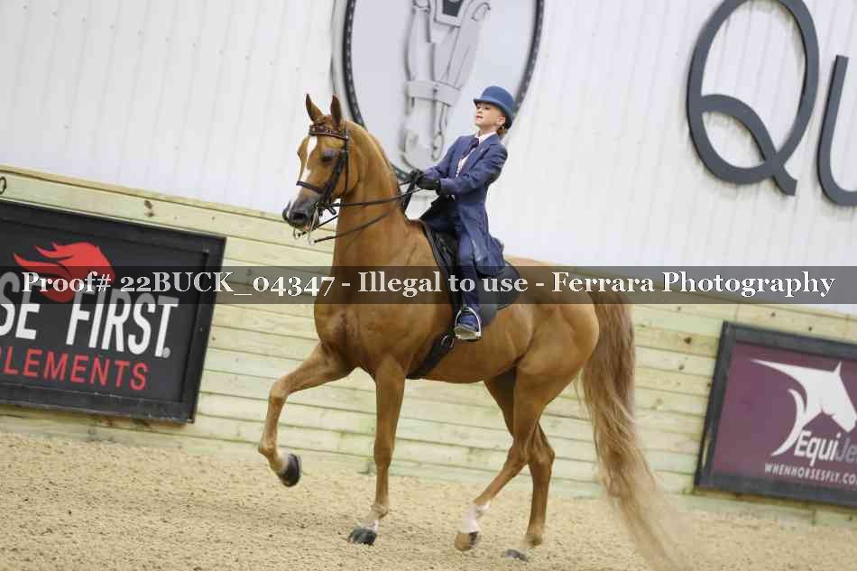 Proof 22BUCK_04347