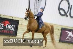 22BUCK_04347 proof