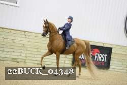 22BUCK_04348 proof
