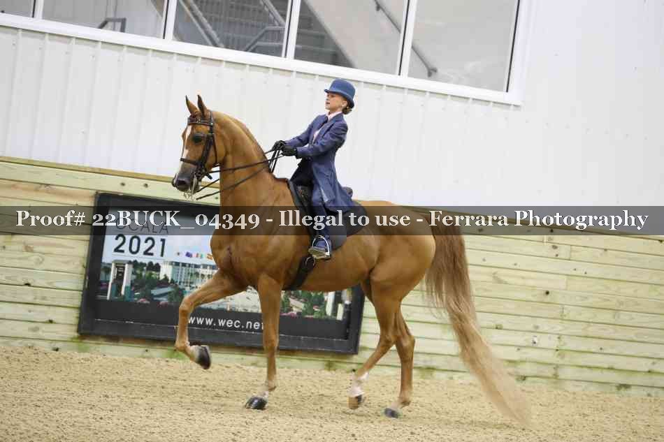 Proof 22BUCK_04349