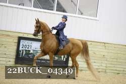 22BUCK_04349 proof