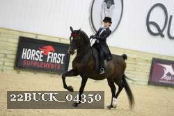 22BUCK_04350 proof