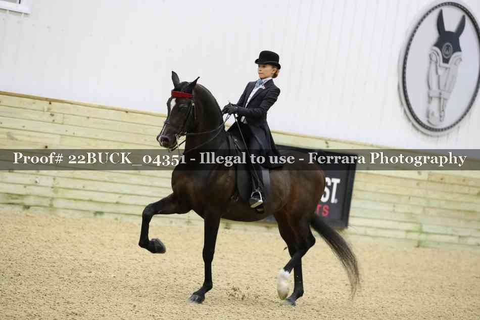 Proof 22BUCK_04351