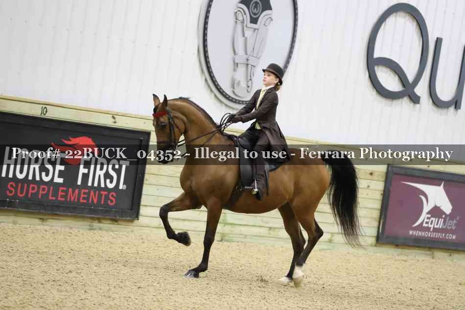 Proof 22BUCK_04352