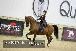 22BUCK_04352 proof