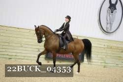 22BUCK_04353 proof