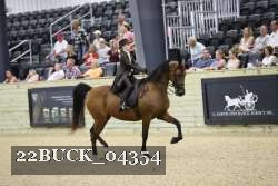 22BUCK_04354 proof