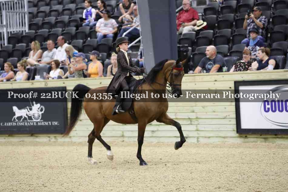 Proof 22BUCK_04355