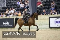 22BUCK_04355 proof