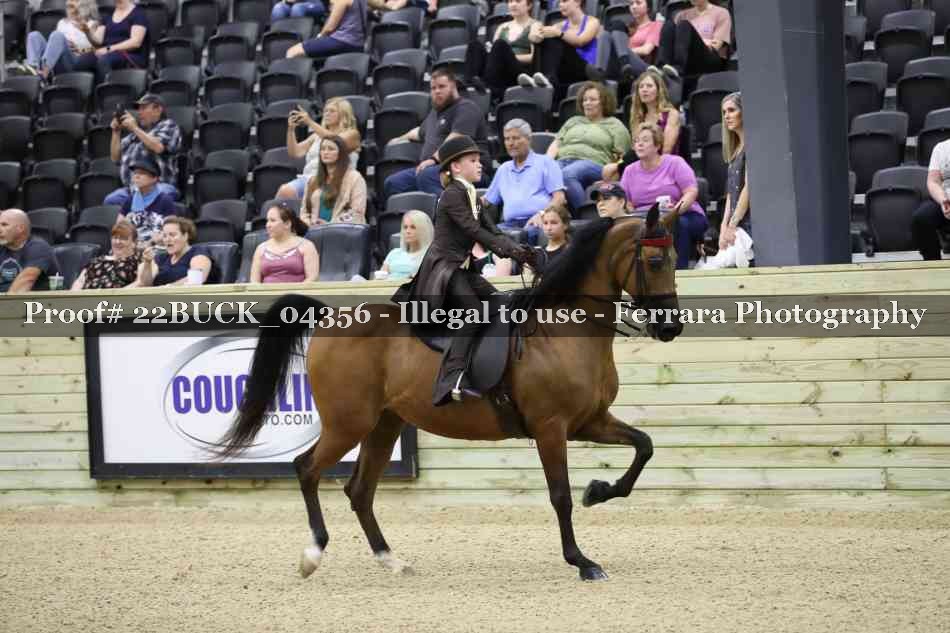 Proof 22BUCK_04356
