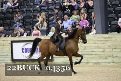 22BUCK_04356 proof