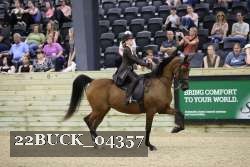 22BUCK_04357 proof