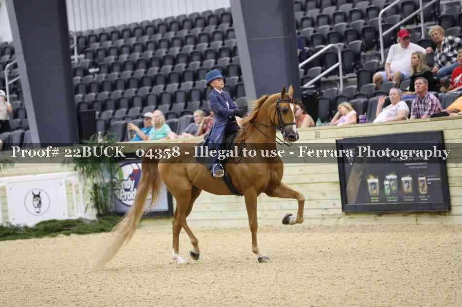 Proof 22BUCK_04358