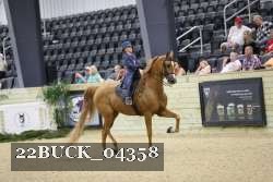 22BUCK_04358 proof