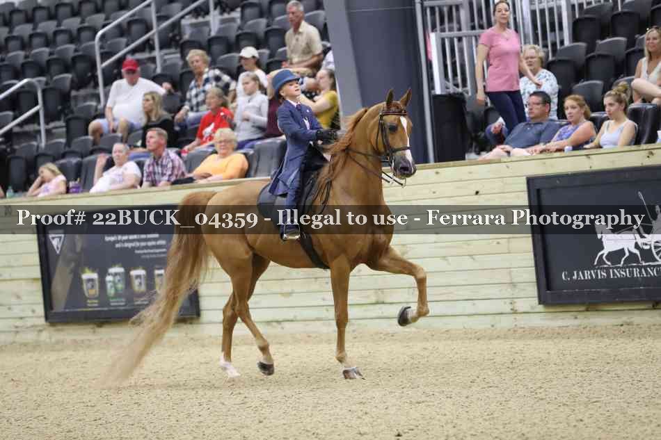 Proof 22BUCK_04359
