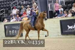 22BUCK_04359 proof