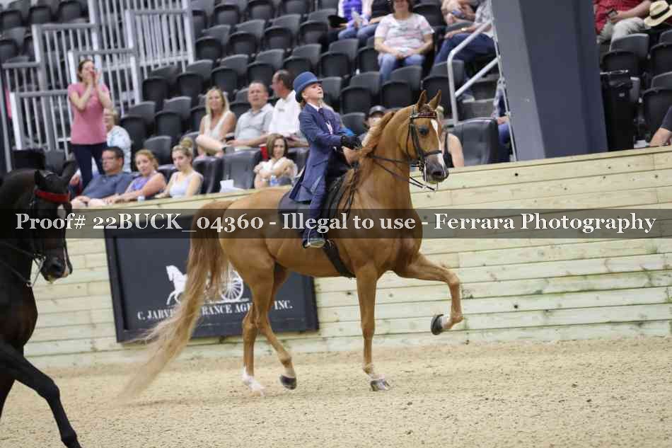 Proof 22BUCK_04360