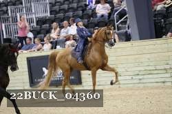 22BUCK_04360 proof