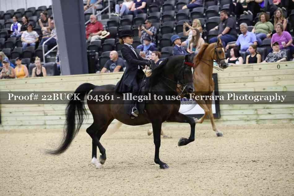 Proof 22BUCK_04361