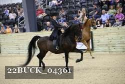 22BUCK_04361 proof