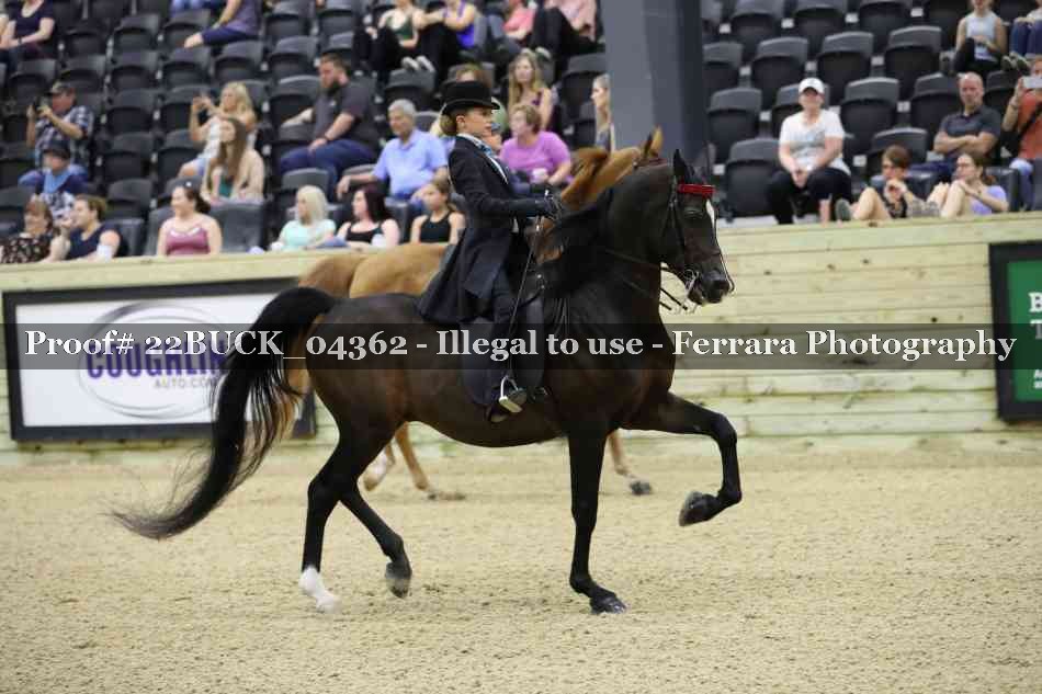 Proof 22BUCK_04362