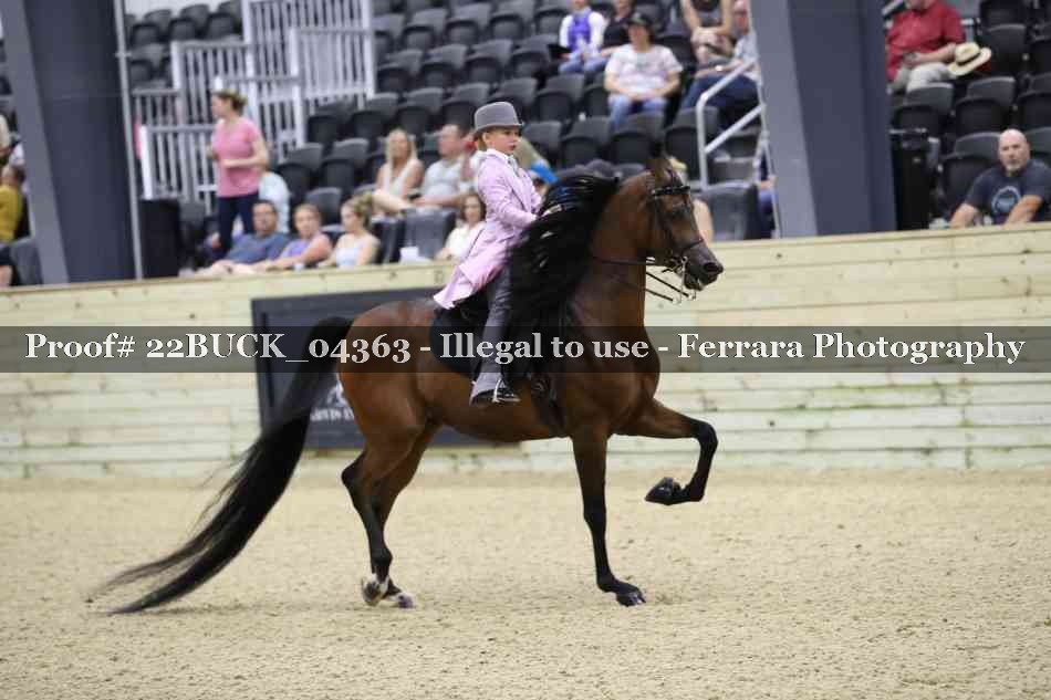 Proof 22BUCK_04363
