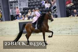 22BUCK_04363 proof