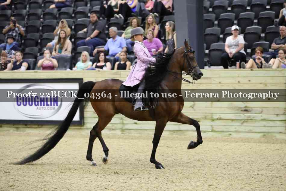 Proof 22BUCK_04364