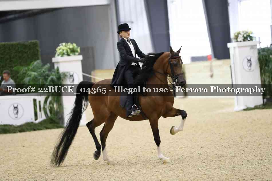 Proof 22BUCK_04365