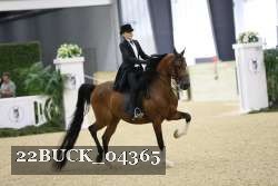22BUCK_04365 proof