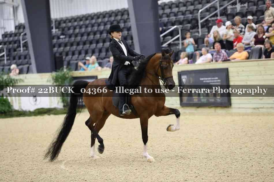 Proof 22BUCK_04366