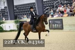 22BUCK_04366 proof