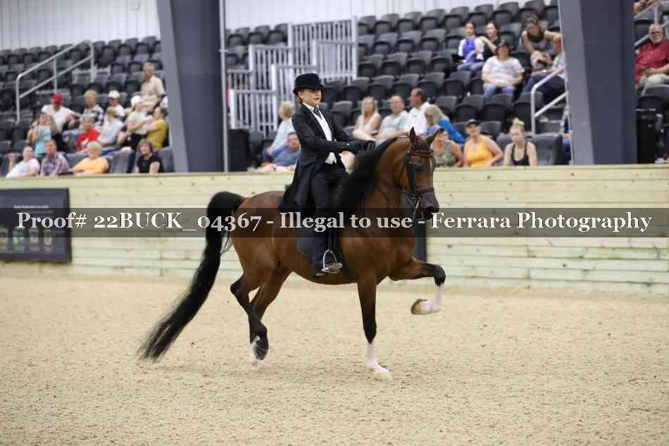 Proof 22BUCK_04367