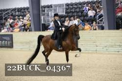 22BUCK_04367 proof