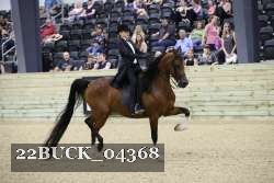 22BUCK_04368 proof