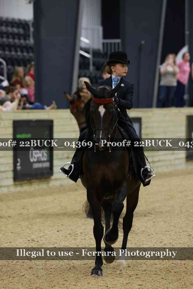 Proof 22BUCK_04369