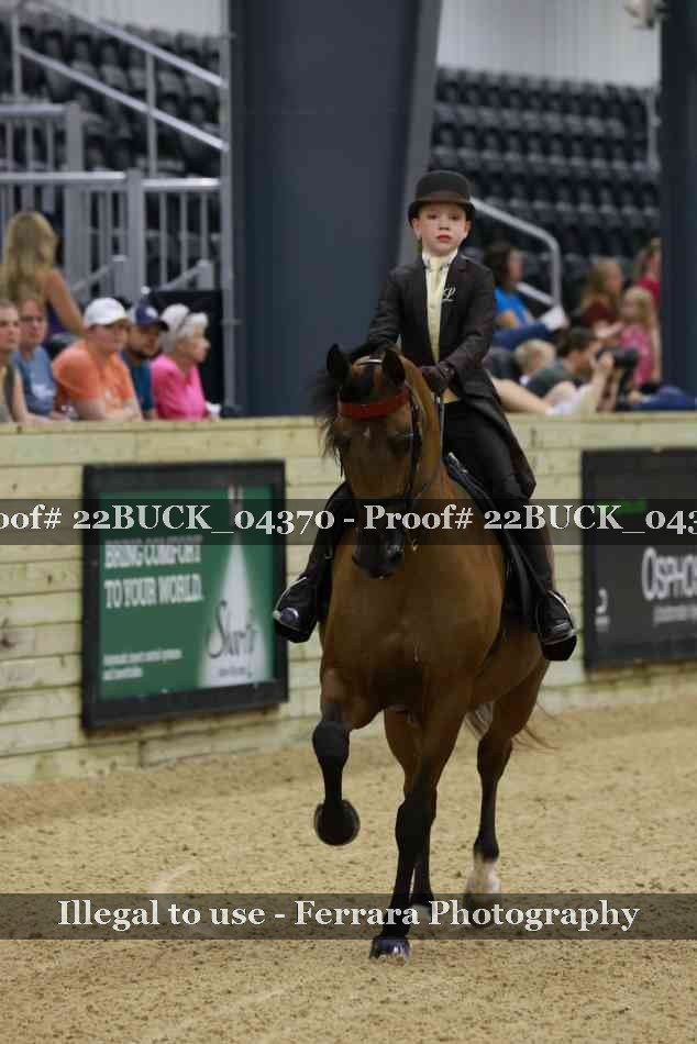 Proof 22BUCK_04370