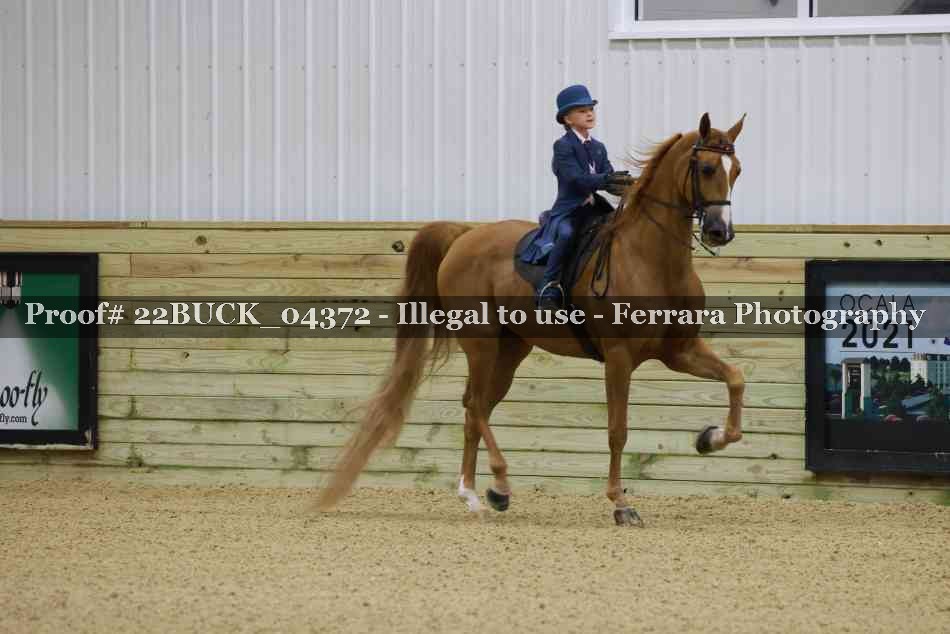 Proof 22BUCK_04372