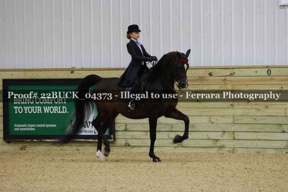 Proof 22BUCK_04373