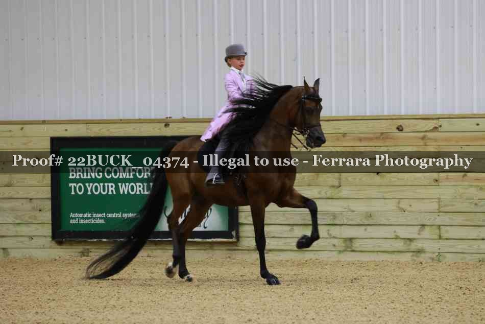 Proof 22BUCK_04374