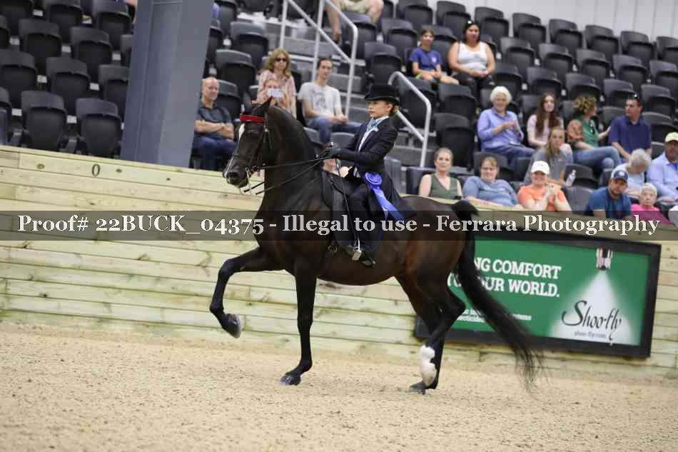 Proof 22BUCK_04375