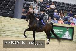 22BUCK_04375 proof