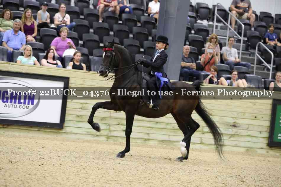 Proof 22BUCK_04376