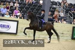22BUCK_04376 proof