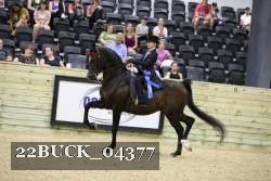22BUCK_04377 proof
