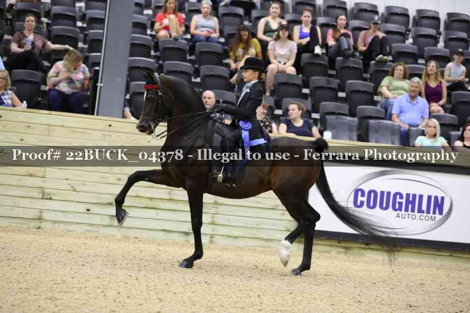 Proof 22BUCK_04378