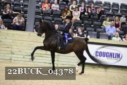 22BUCK_04378 proof